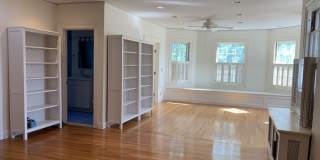 41 Linnaean Street Gallery 16