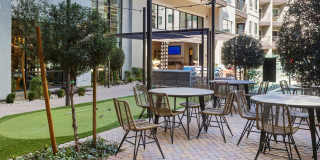 Onyx North Central Gallery 10