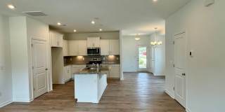 Brand New Townhome in Pringle Town Gallery 3