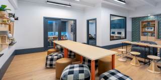 Elm at Panorama Gallery 26