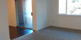 South Hill Apartments Gallery 5