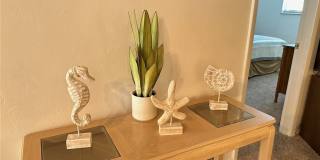 9391 Lennex Lane Gallery 3