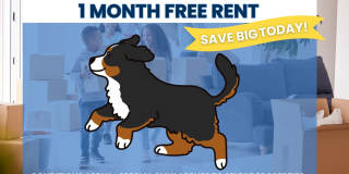 ONE MONTH FREE MOVE-IN SPECIAL! New Construction Home for Rent! Sign a 13-month lease by 4/30/2026 and receive a leasing incentive equal to one month’s rent, applied as a credit over 10 months! Gallery 1