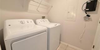 8517 BAY LILLY Loop Gallery 10
