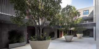 The Charlie WeHo Gallery 15