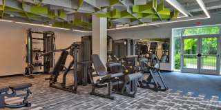 Terrain on the Parkway Gallery 14