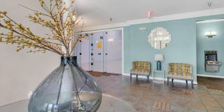 The Graham Gallery 33