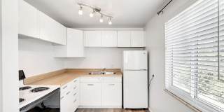 Twin Maples Gallery 15