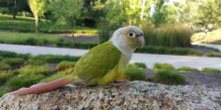 162 Overbrook Gallery 20