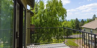 Elevation at Mountain Park Gallery 47