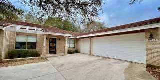 29608 TERRA VIS Gallery 1