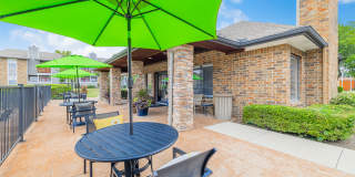 Fossil Hill Gallery 31