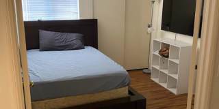 11360 Via Rancho San Diego Gallery 12