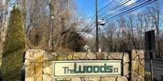 1916 THE WOODS II #1916 Gallery 33