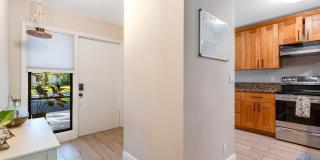 4143 Palm Forest Drive N Gallery 4