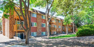 Pikes Place on San Miguel Gallery 8