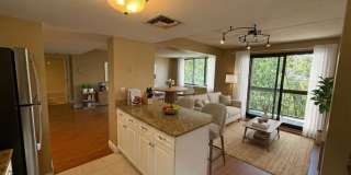 81 Brainerd Rd. Gallery 6