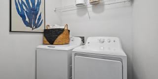 Preston Hollow Gallery 25