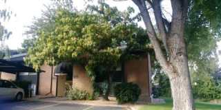 Orchard Gardens  (OG) Gallery 19