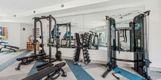 Bluebird on Seventy Gallery 23