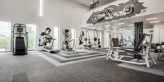 Lamar Union Gallery 50