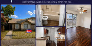 8922 Emerald Spring Gallery 1