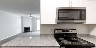 Canter Chase Gallery 19