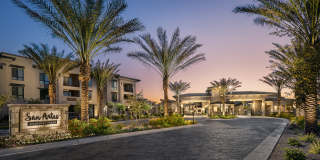 San Artes by Mark-Taylor Gallery 7