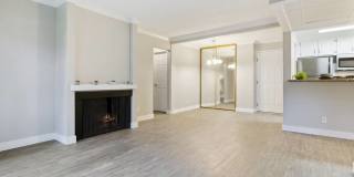 Alura Gallery 12