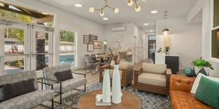 Alder Walk Gallery 8