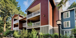 Canyon Creek Apartment Villages Gallery 46