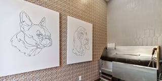 The Quill Apartments Gallery 27