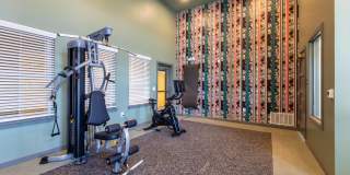 June West Gallery 21