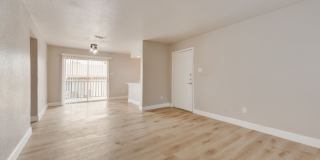 The Chandler Gallery 10