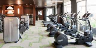 The Catherine Gallery 53