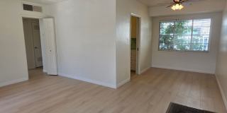 2904 Sunset Ave - Apartment Gallery 9