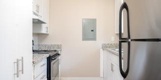 The Jax Gallery 2