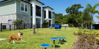 The Addison on Long Bayou Gallery 25