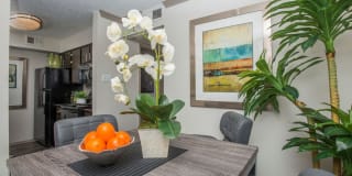 Harmony Apartments Harmony Apartments Gallery 9