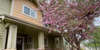 Townhome -2 bed 2.5 bath + bonus area Gallery 47