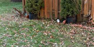 Charming 2BR House in Burtonsville Gallery 18