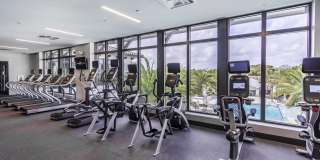 Casa Mara Gallery 24