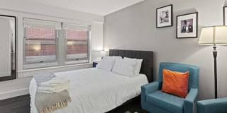 Netherland Gallery 11