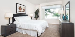 Museum Terrace Gallery 10