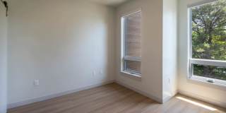 The Basin Gallery 84