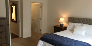 Antler View Gallery 10