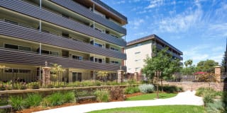 Vista Torre Gallery 16