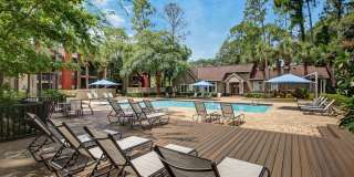 Timberwalk at Mandarin Gallery 4