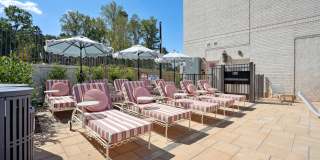 NOVEL Davidson Gallery 7