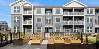 The Dorsey by Alta Gallery 45